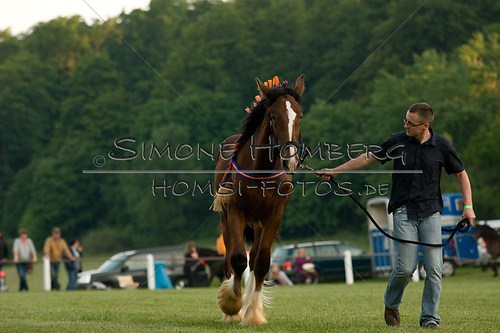 (c)SimoneHomberg_Ponyfest_Schauprogramm_20150606_0563