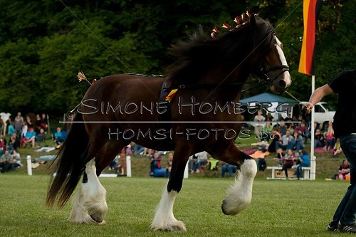 (c)SimoneHomberg_Ponyfest_Schauprogramm_20150606_0565