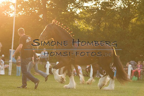(c)SimoneHomberg_Ponyfest_Schauprogramm_20150606_0568