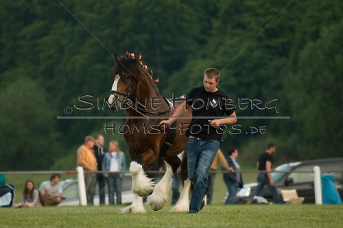 (c)SimoneHomberg_Ponyfest_Schauprogramm_20150606_0569