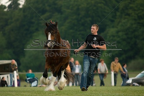 (c)SimoneHomberg_Ponyfest_Schauprogramm_20150606_0570