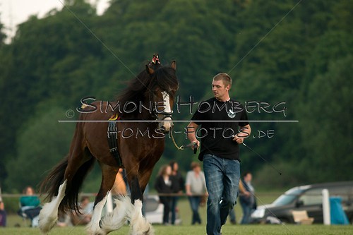 (c)SimoneHomberg_Ponyfest_Schauprogramm_20150606_0571