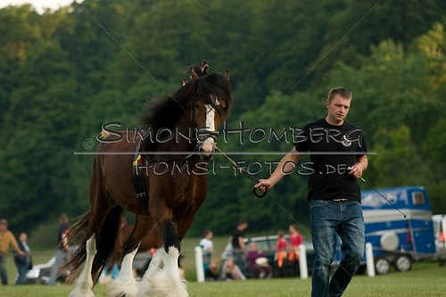 (c)SimoneHomberg_Ponyfest_Schauprogramm_20150606_0572