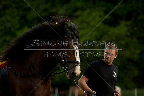 (c)SimoneHomberg_Ponyfest_Schauprogramm_20150606_0573