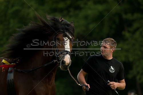 (c)SimoneHomberg_Ponyfest_Schauprogramm_20150606_0574