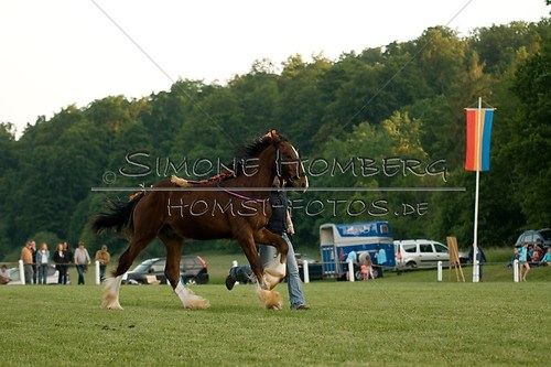 (c)SimoneHomberg_Ponyfest_Schauprogramm_20150606_0578