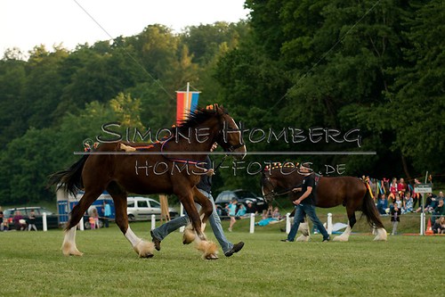 (c)SimoneHomberg_Ponyfest_Schauprogramm_20150606_0579