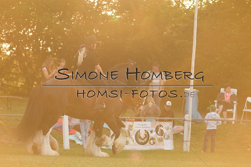 (c)SimoneHomberg_Ponyfest_Schauprogramm_20150606_0580