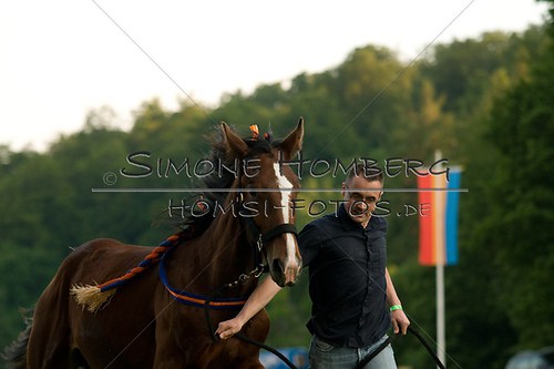 (c)SimoneHomberg_Ponyfest_Schauprogramm_20150606_0582