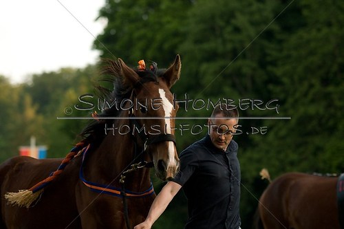 (c)SimoneHomberg_Ponyfest_Schauprogramm_20150606_0583