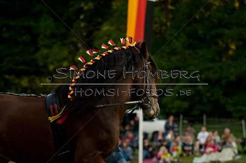 (c)SimoneHomberg_Ponyfest_Schauprogramm_20150606_0584