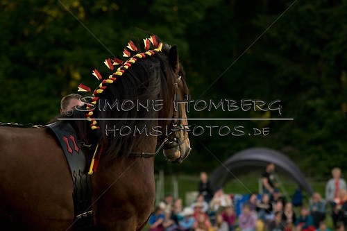 (c)SimoneHomberg_Ponyfest_Schauprogramm_20150606_0585