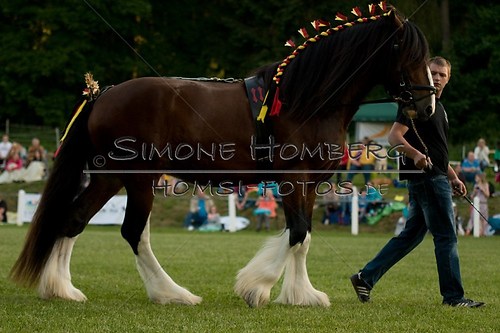 (c)SimoneHomberg_Ponyfest_Schauprogramm_20150606_0586