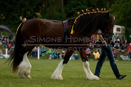 (c)SimoneHomberg_Ponyfest_Schauprogramm_20150606_0587