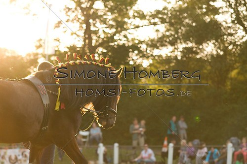 (c)SimoneHomberg_Ponyfest_Schauprogramm_20150606_0588