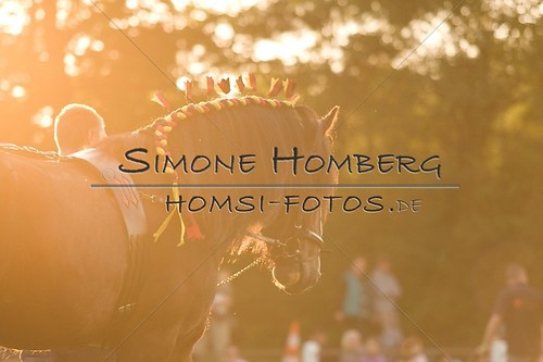 (c)SimoneHomberg_Ponyfest_Schauprogramm_20150606_0589