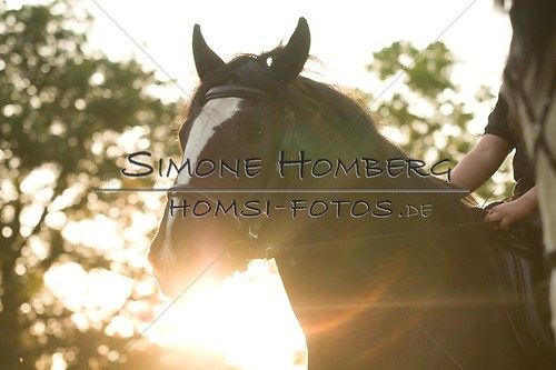 (c)SimoneHomberg_Ponyfest_Schauprogramm_20150606_0590