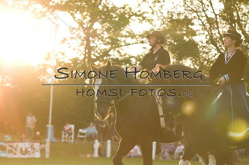 (c)SimoneHomberg_Ponyfest_Schauprogramm_20150606_0594