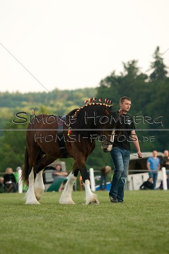 (c)SimoneHomberg_Ponyfest_Schauprogramm_20150606_0596