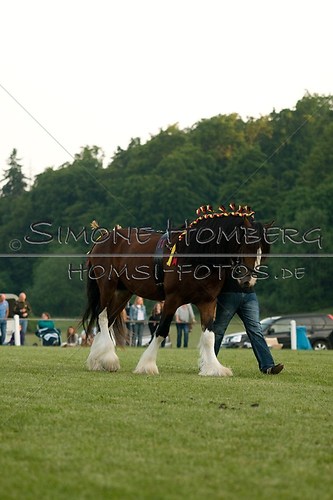 (c)SimoneHomberg_Ponyfest_Schauprogramm_20150606_0597