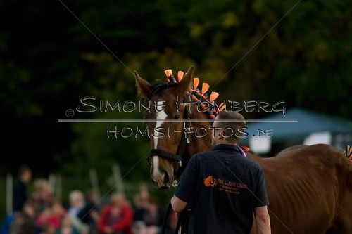 (c)SimoneHomberg_Ponyfest_Schauprogramm_20150606_0598