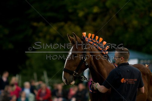(c)SimoneHomberg_Ponyfest_Schauprogramm_20150606_0599