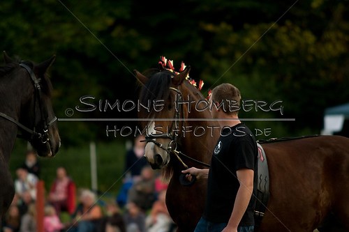 (c)SimoneHomberg_Ponyfest_Schauprogramm_20150606_0601