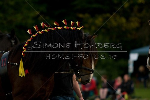 (c)SimoneHomberg_Ponyfest_Schauprogramm_20150606_0602