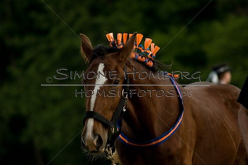 (c)SimoneHomberg_Ponyfest_Schauprogramm_20150606_0605