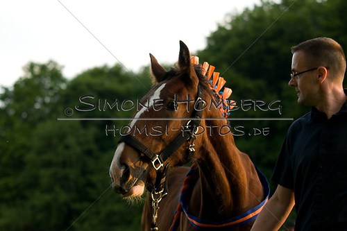 (c)SimoneHomberg_Ponyfest_Schauprogramm_20150606_0608