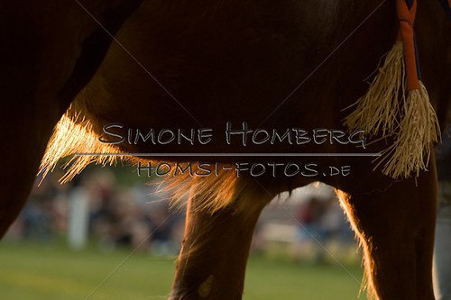 (c)SimoneHomberg_Ponyfest_Schauprogramm_20150606_0611