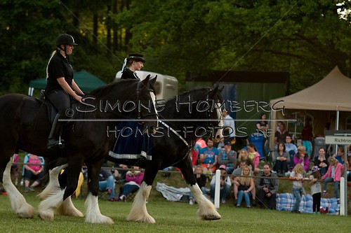 (c)SimoneHomberg_Ponyfest_Schauprogramm_20150606_0612