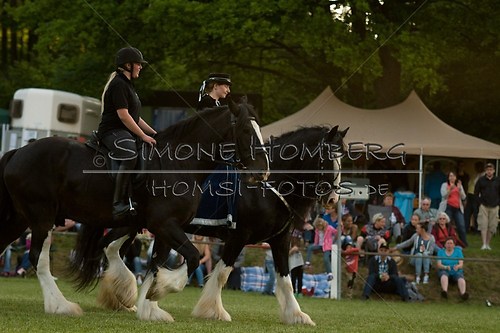 (c)SimoneHomberg_Ponyfest_Schauprogramm_20150606_0613