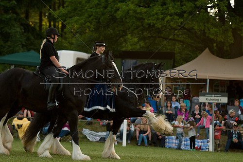 (c)SimoneHomberg_Ponyfest_Schauprogramm_20150606_0614
