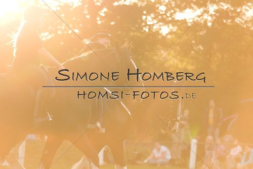 (c)SimoneHomberg_Ponyfest_Schauprogramm_20150606_0619