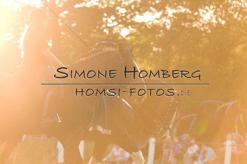 (c)SimoneHomberg_Ponyfest_Schauprogramm_20150606_0620