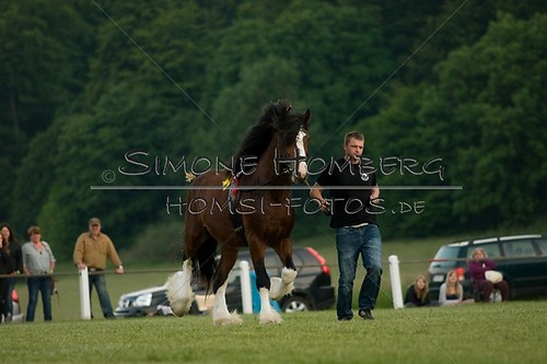 (c)SimoneHomberg_Ponyfest_Schauprogramm_20150606_0621