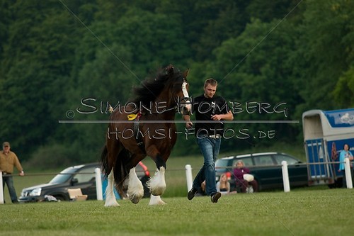 (c)SimoneHomberg_Ponyfest_Schauprogramm_20150606_0622