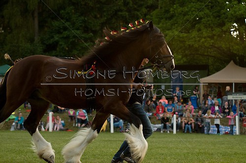 (c)SimoneHomberg_Ponyfest_Schauprogramm_20150606_0626