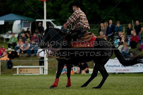 (c)SimoneHomberg_Ponyfest_Schauprogramm_20150606_0635