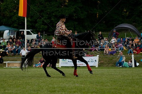(c)SimoneHomberg_Ponyfest_Schauprogramm_20150606_0636