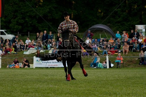 (c)SimoneHomberg_Ponyfest_Schauprogramm_20150606_0641