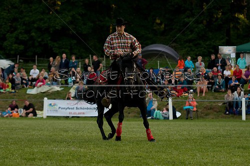 (c)SimoneHomberg_Ponyfest_Schauprogramm_20150606_0642