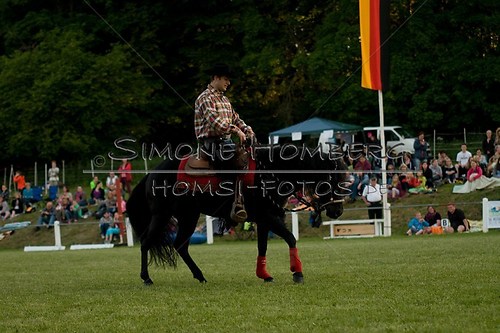 (c)SimoneHomberg_Ponyfest_Schauprogramm_20150606_0645