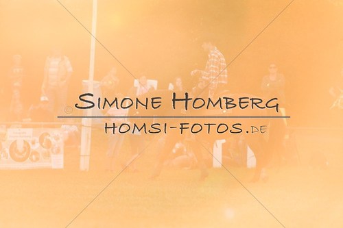 (c)SimoneHomberg_Ponyfest_Schauprogramm_20150606_0647