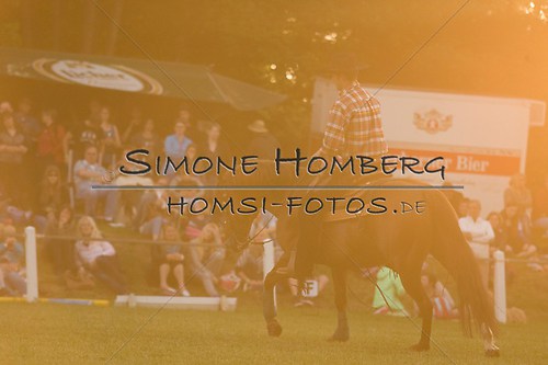 (c)SimoneHomberg_Ponyfest_Schauprogramm_20150606_0657