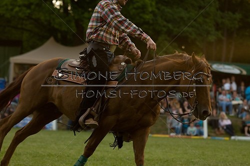 (c)SimoneHomberg_Ponyfest_Schauprogramm_20150606_0667