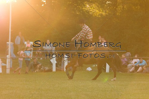 (c)SimoneHomberg_Ponyfest_Schauprogramm_20150606_0668