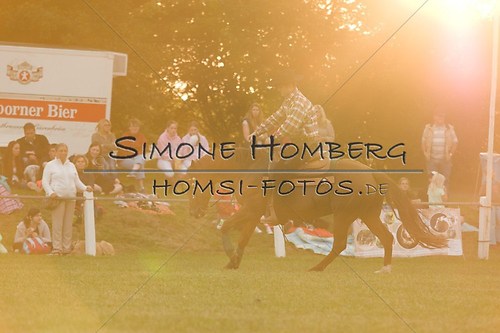 (c)SimoneHomberg_Ponyfest_Schauprogramm_20150606_0669