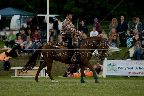 (c)SimoneHomberg_Ponyfest_Schauprogramm_20150606_0670